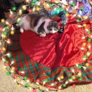 Meet your Posher, Gary